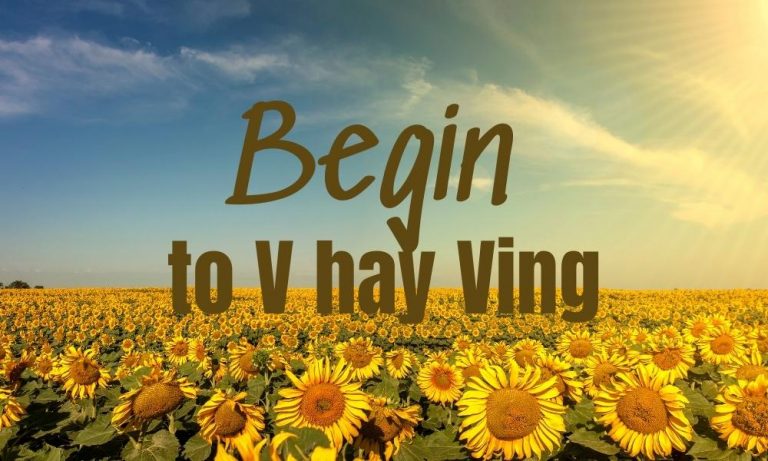 Begin to V hay Ving?